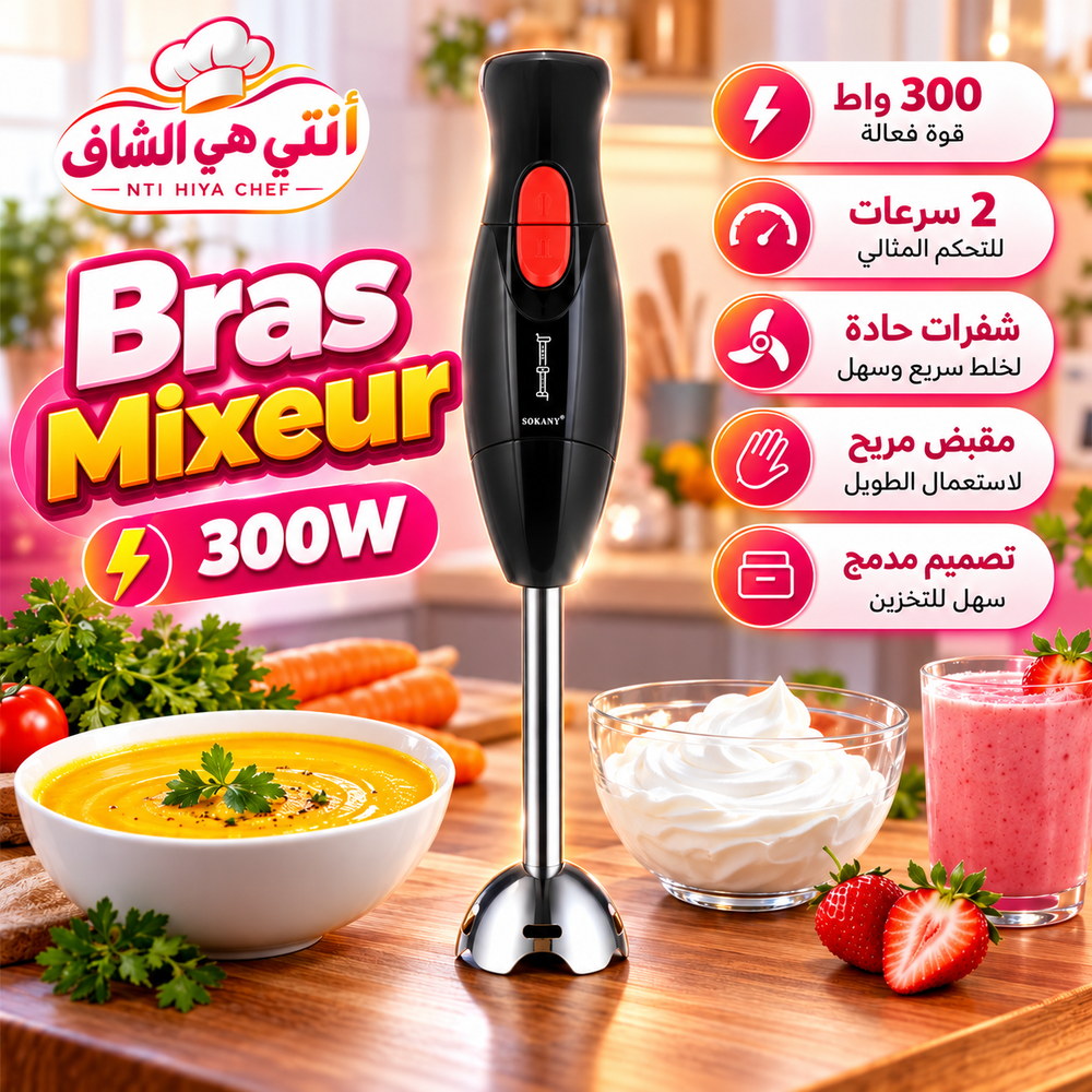 Bras Mixeur 300W (HS)